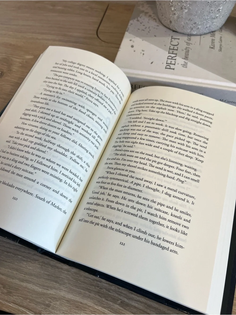 Xiphactinus Rich Shapero Hardcover Book 2025 Silicon Valley Satire Fiction⁠